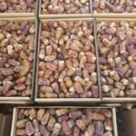 رسلان تمر صقعي وسط 800 جرام